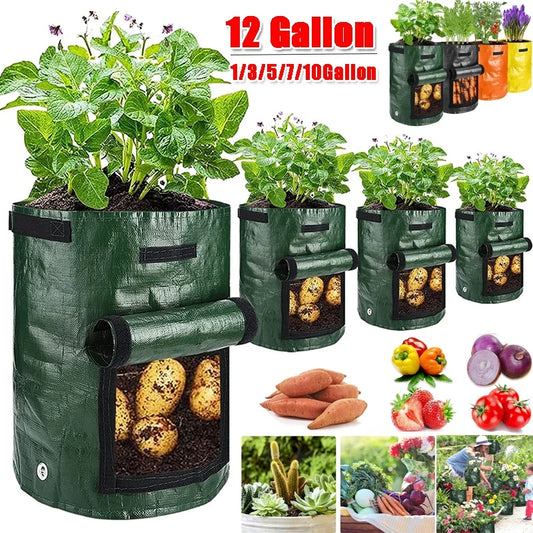 PE Vegetable Planter Grow Bag, DIY Fabric Garden Pot, Garden Tools